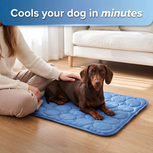 Breezy Paws Cooling Mat