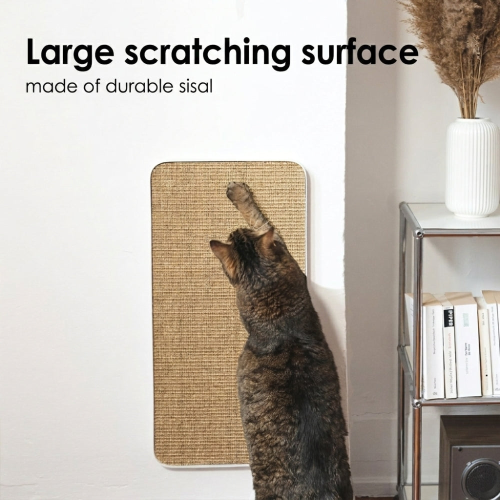 Purrline Scratchpad