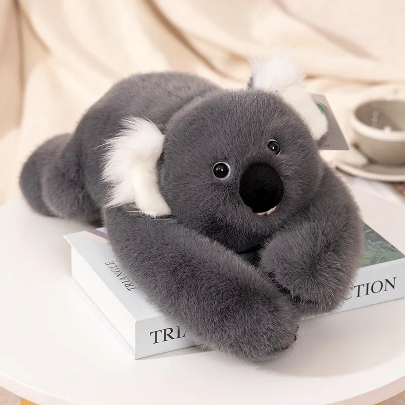 Knuffelbaar Dieren Kussen