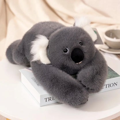 Knuffelbaar Dieren Kussen