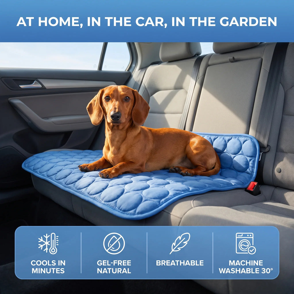 Breezy Paws Cooling Mat