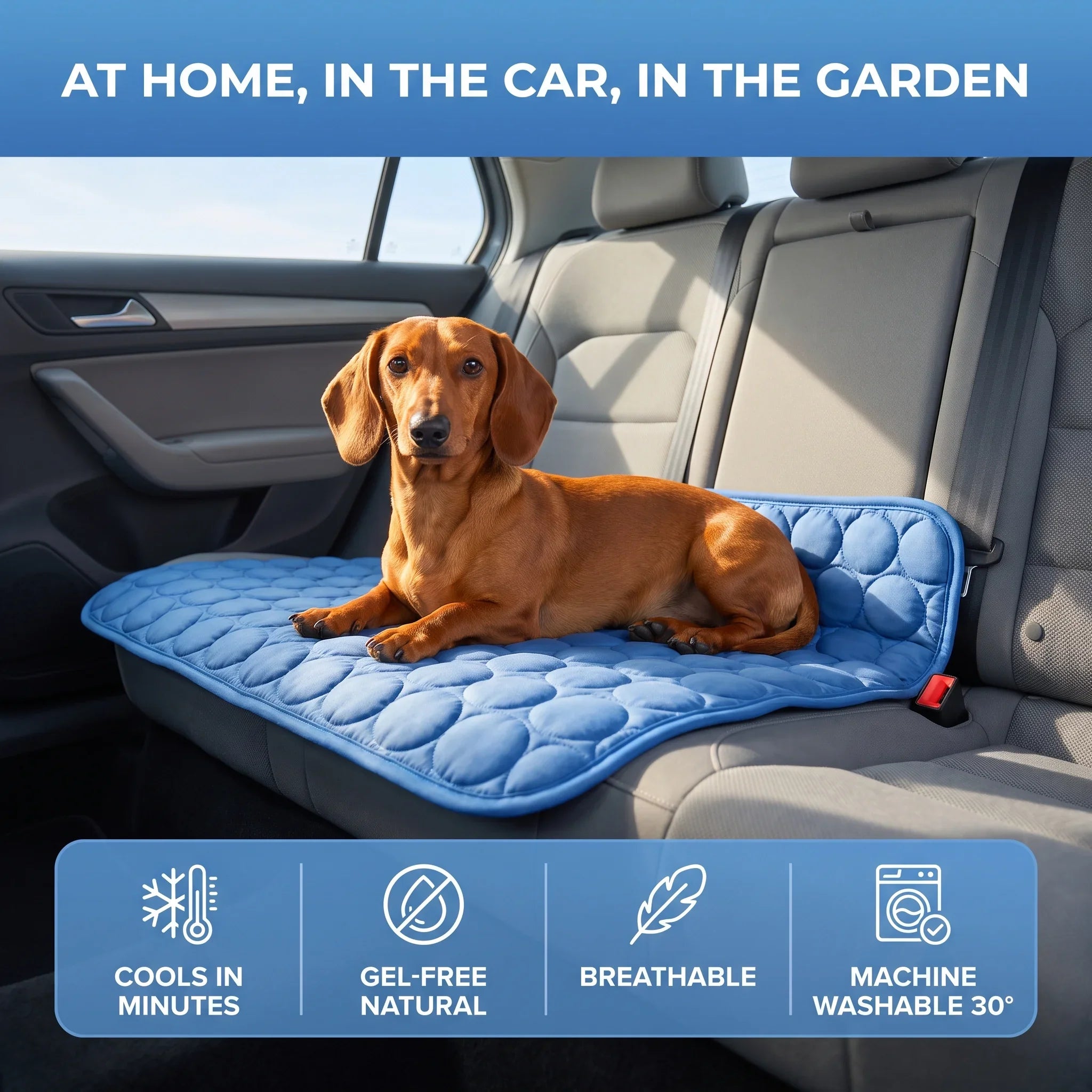 Breezy Paws Cooling Mat