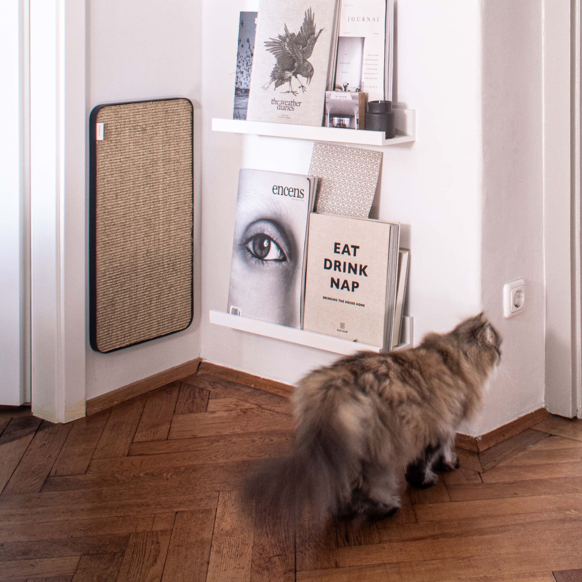 Purrline Scratchpad
