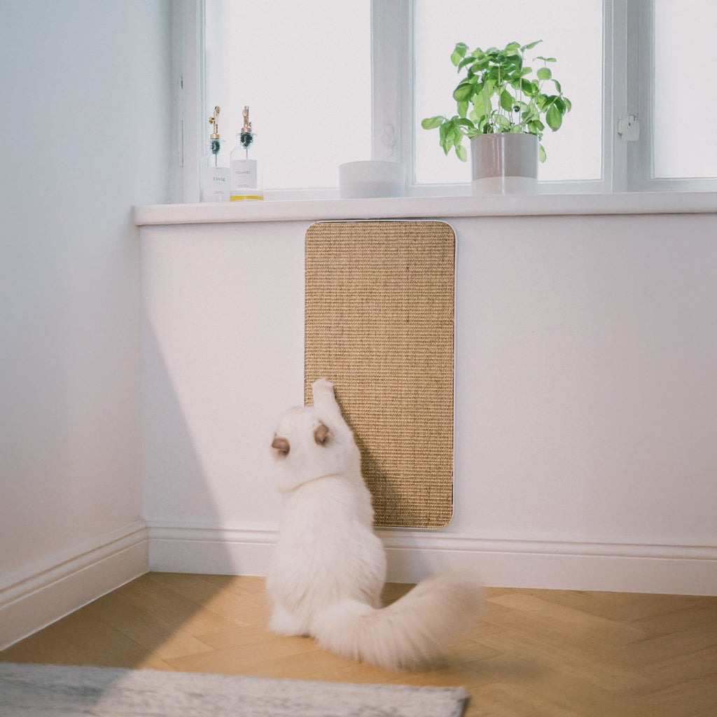 Purrline Scratchpad