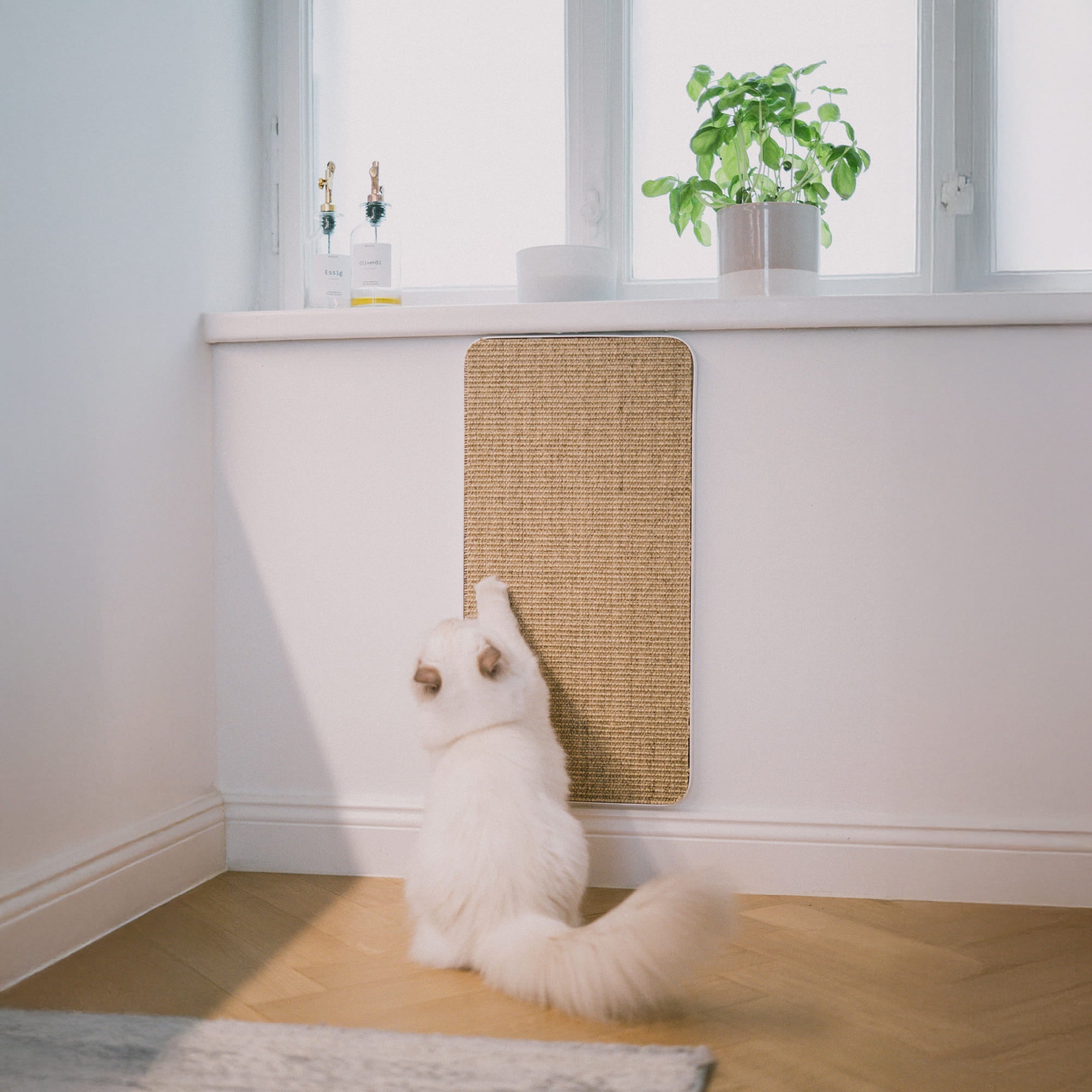 Purrline Scratchpad