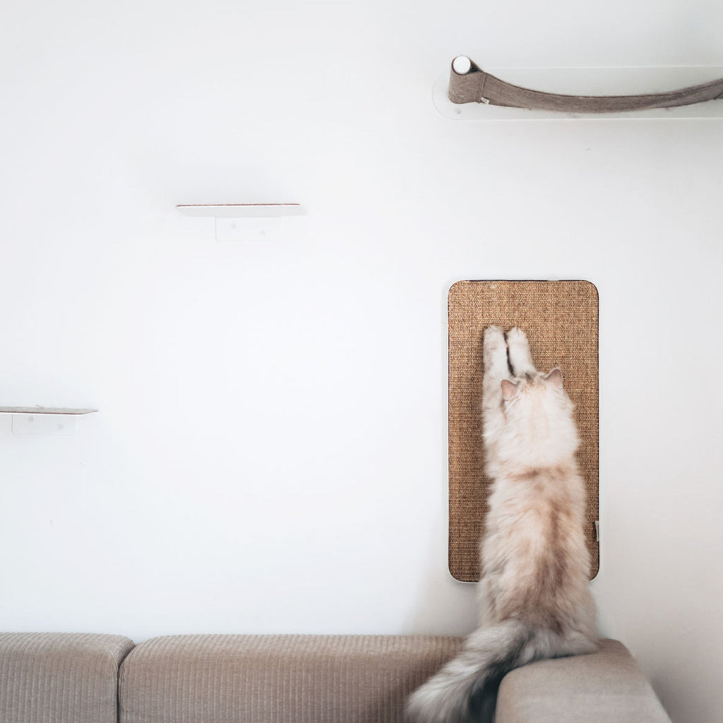 Purrline Scratchpad