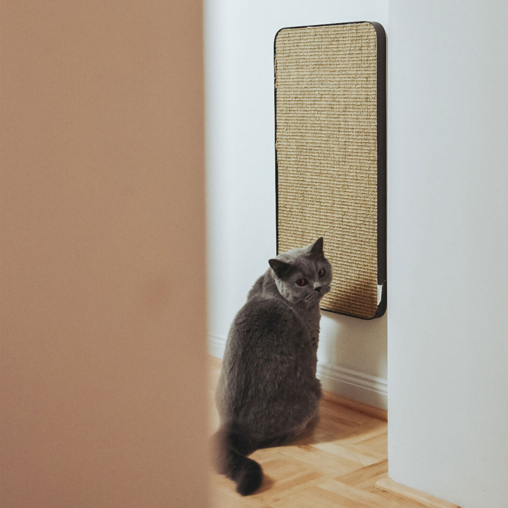 Purrline Scratchpad