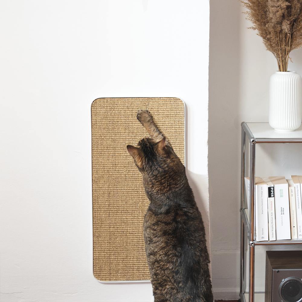 Purrline Scratchpad