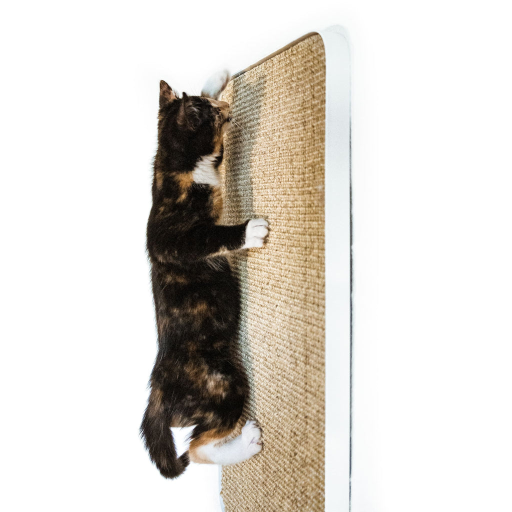 Purrline Scratchpad